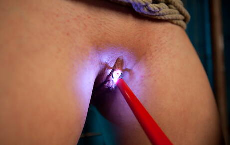 Wired Pussy invites you to browse their xxx pictures with Cheyenne Jewel and Isis Love xxx gallery 280112